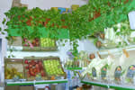 frutta e verdura da agricoltura biologica